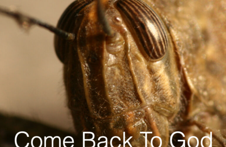 Come Back To God (Joel 1:1-2:17) 16 June